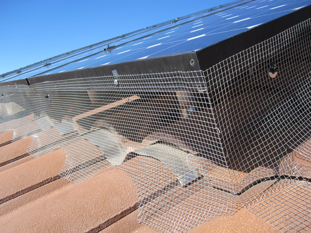 Pigeon Proofing Solar Panel that works