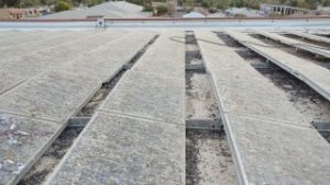 Commercial Solar panel pigeon proofing and clean up needed